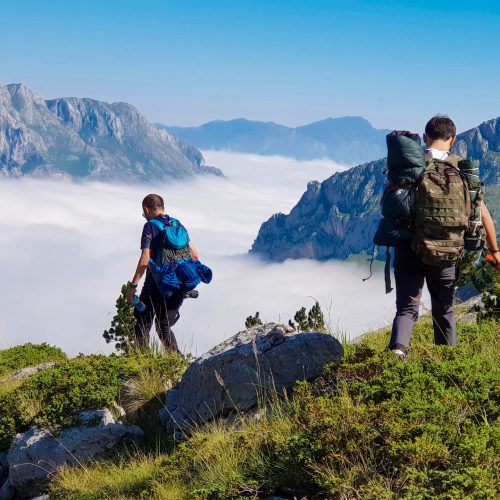 20200813_094155.jpg (1)