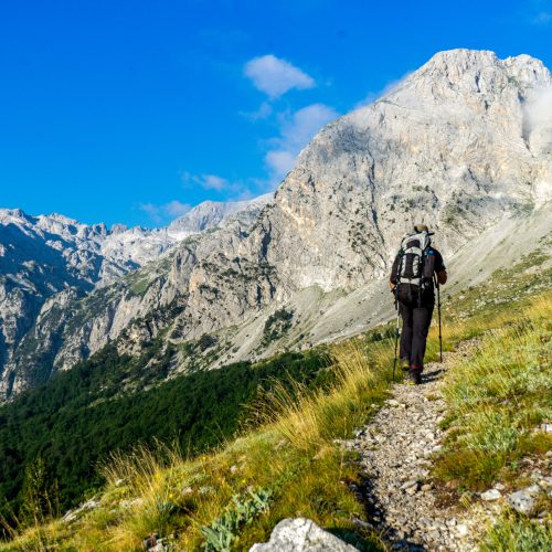 4DC4EB3E-8107-41C5-9DE1-F3BFD8D3101C.jpg (1)