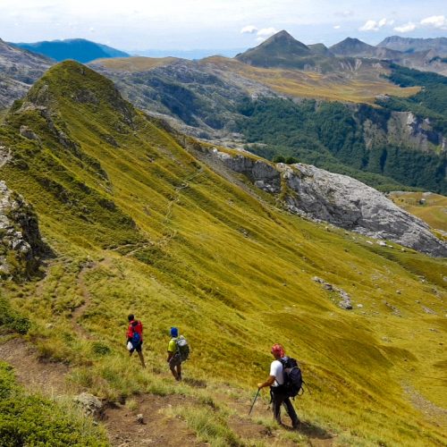 DJI_20200902_133437_87.jpg (3)