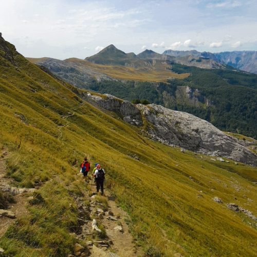 DJI_20200902_133752_95.jpg (2)