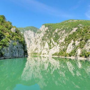 WhatsApp Image 2026-02-15 at 11.42.15 PM