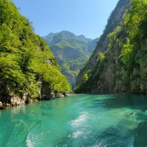 WhatsApp Image 2026-02-15 at 11.42.16 PM