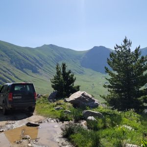 WhatsApp Image 2026-02-17 at 7.20.24 AM