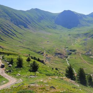 WhatsApp Image 2026-02-17 at 7.20.25 AM