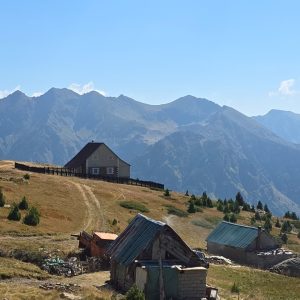 WhatsApp Image 2026-02-17 at 7.20.27 AM