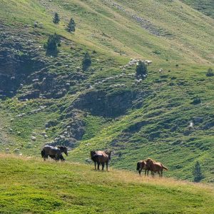 WhatsApp Image 2026-02-17 at 7.20.48 AM