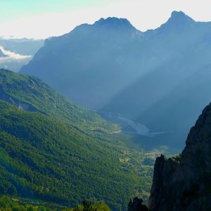 WhatsApp Image 2026-02-17 at 7.37.48 AM