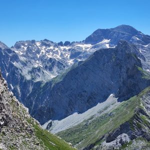 WhatsApp Image 2026-02-17 at 7.38.22 AM