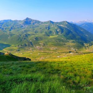 WhatsApp Image 2026-02-17 at 7.38.29 AM (2)