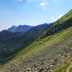 WhatsApp Image 2026-02-17 at 7.38.30 AM