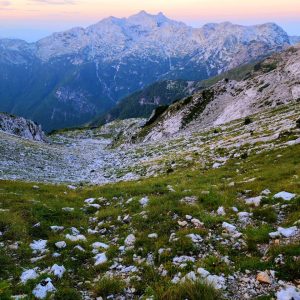 WhatsApp Image 2026-02-17 at 7.38.31 AM (1)