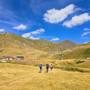 WhatsApp Image 2026-02-17 at 7.50.31 AM